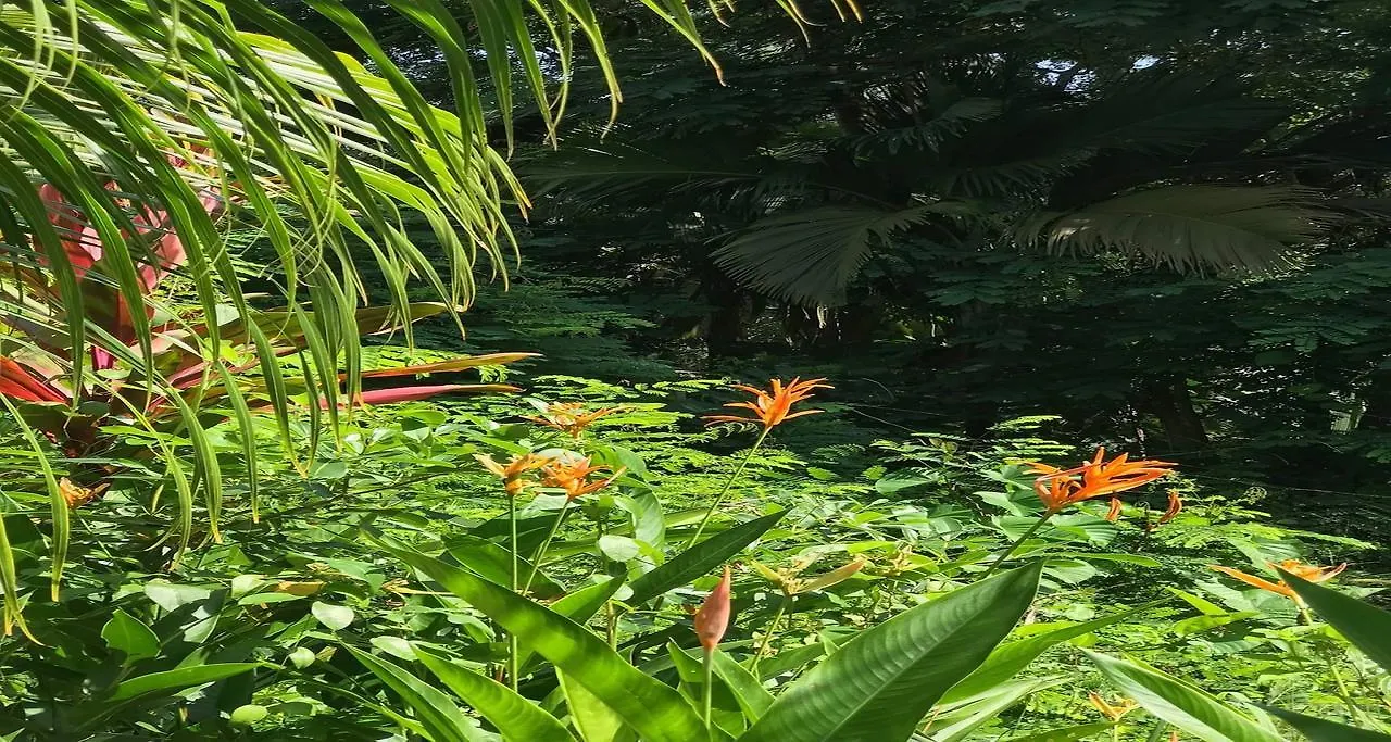 La Nature Apartments オー・カップ