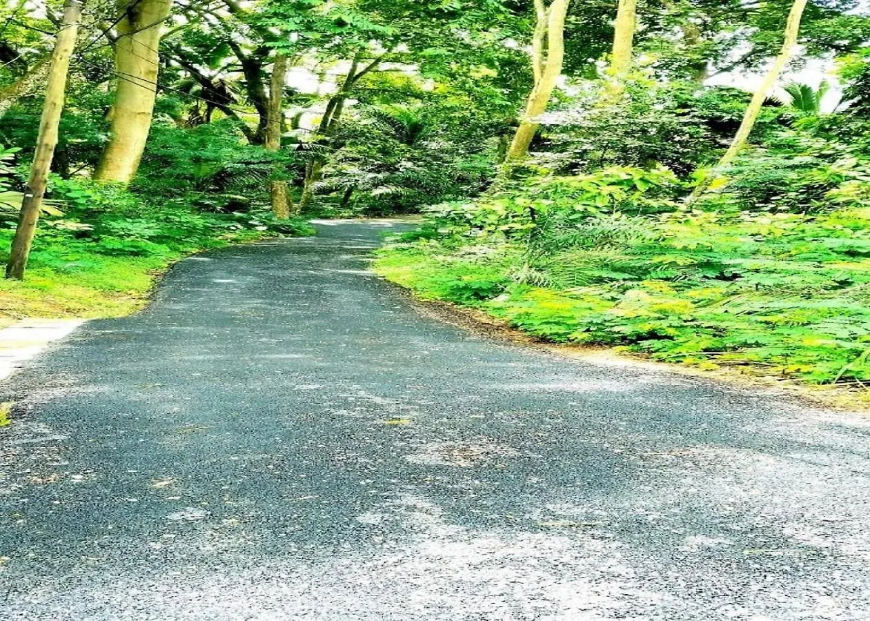 La Nature Apartments オー・カップ 0*,  セーシェル